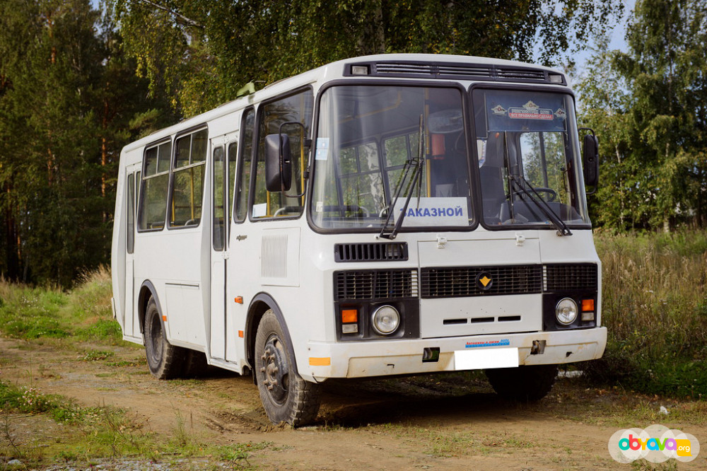 Автобус паз фото белый