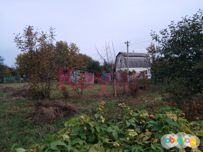 Весна в огороде. Краткие инструкции по сезонным работам | Огород | Дача | Аргументы и Факты