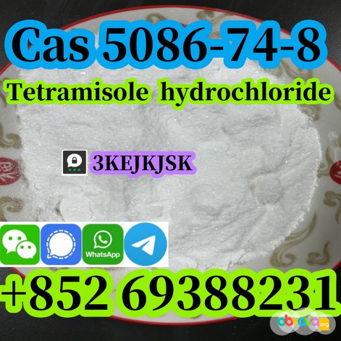 гарантированное качество Тетрамизол гидрохлорид порошок Cas 5086-74-8 Москва - изображение 1