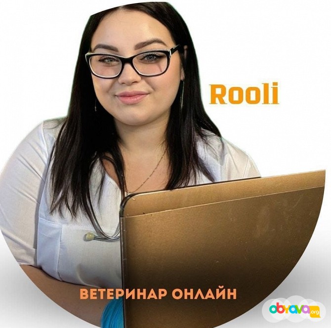 Консультация ветеринара 24/7 Красноярск - изображение 1