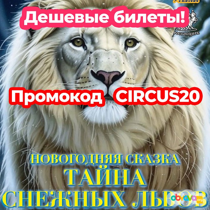 Цирк Автово в Санкт-Петербурге - купить билеты онлайн со скидкой 20%! Санкт-Петербург - изображение 1