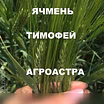 Продам: семена озимого ячменя ЭС в Ростове-на-Дону