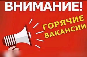 Помощник руководителя 