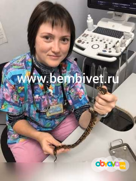 Предложение: лечение рептилий в Москве