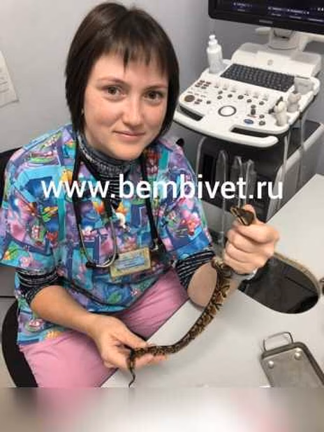 Предложение: лечение рептилий в Москве