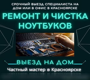 Продам: профессиональная чистка от пыли ноутбука в Красноярске