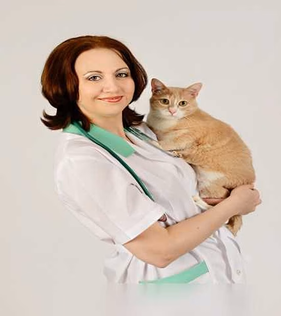 Предложение: консультация ветеринара онлайн в Балаково