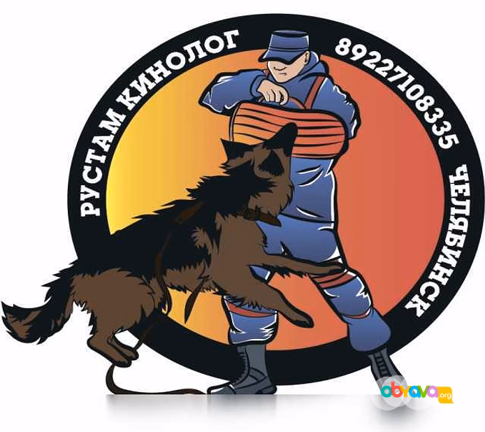 Профессиональная дрессировка собак в Челябинске и пригороде!