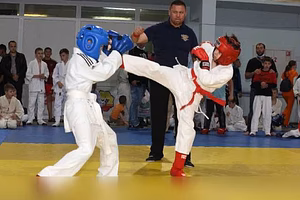 Тренировки по рукопашному бою