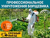 Уничтожение тараканов клопов клещей 