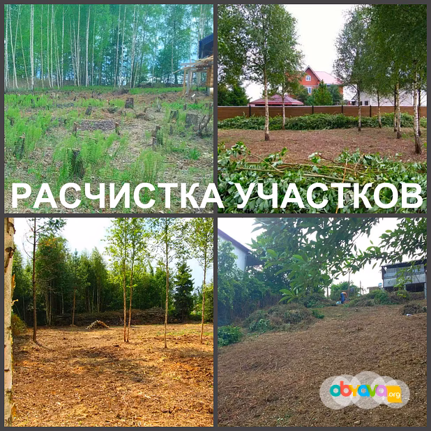 Расчистка Воронеж, расчистка участков в Воронеже
