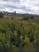 Продам: дом в Каменске-Уральском