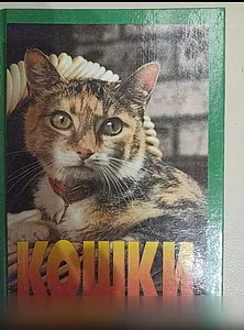 Продам: книга Энциклопедия Кошки. Джино Пуньетти в Москве