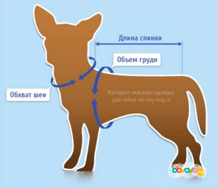 Предложение: вязание одежды для кошек и собак в Сочи