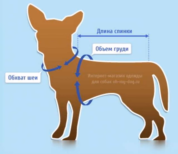 Предложение: вязание одежды для кошек и собак в Сочи