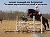 Предложение: предлагаем прокат лошадей в аренду для в Улан-Удэ