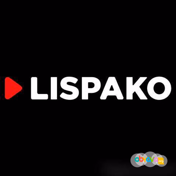 Предложение: студия LISPAKO в Воронеже