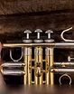 Продам: труба Bach Stradivarius model 311 в Химках