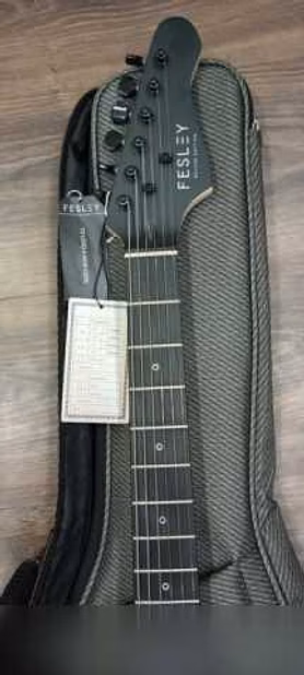 Продам: суперстратокастер Fesley FST 450
