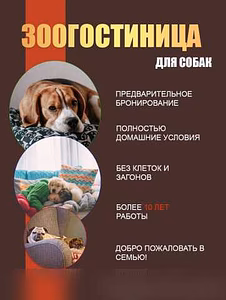 Предложение: передержа собак на любой срок в Дмитрове