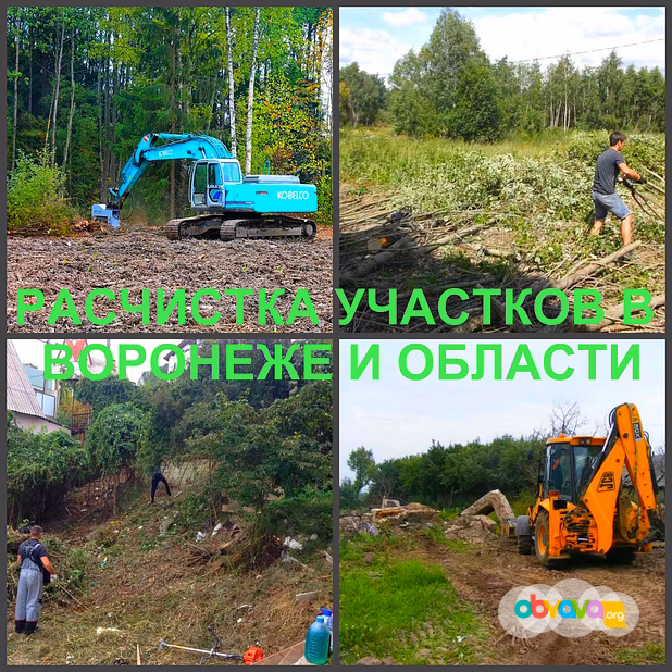 Расчистка Воронеж, расчистка участков в Воронеже