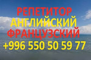Предложение: учитель по английскому и французскому