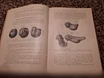 Продам: антик книга Доктор Роберт Бонне.1907 г в Санкт-Петербурге