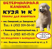 Предложение: "Кузя и К", ветеринарная клиника в Гатчине