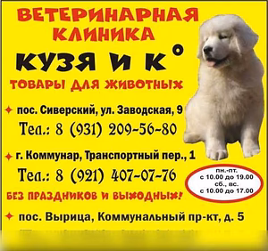 Предложение: "Кузя и К", ветеринарная клиника в Гатчине