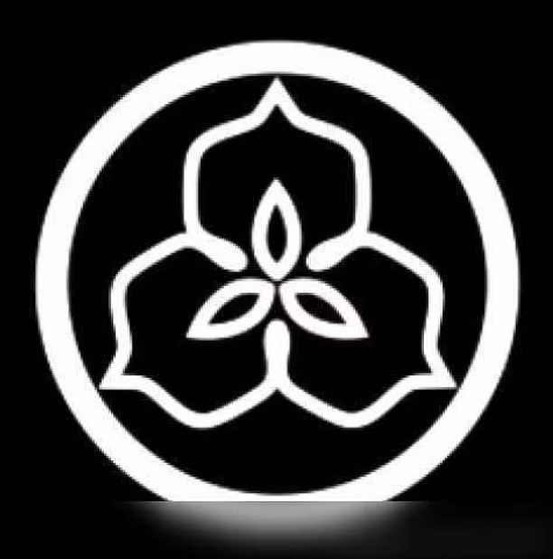 Джиу-джитсу в Москве