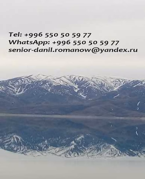 Предложение: гид, водитель в Кыргызстане, туристическ в Москве