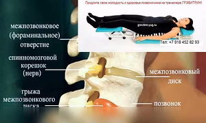 Предложение: лечение остеохондроза Грэвитрин