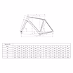 2025 Bianchi IMPULSO RC - GRX 825 Di2 - Gravel Bike - Celeste (WORLDRACYCLES)