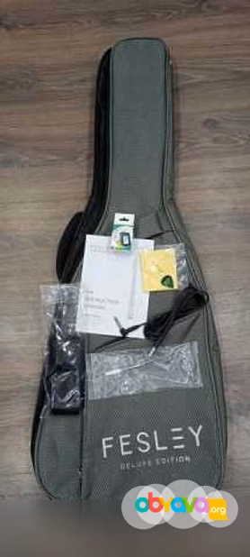 Продам: суперстратокастер Fesley FST 450
