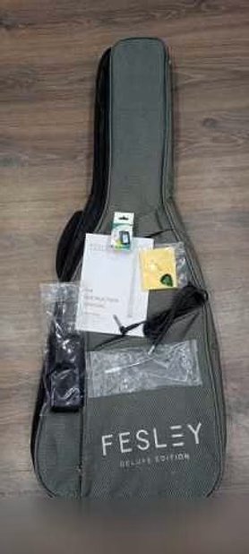 Продам: суперстратокастер Fesley FST 450