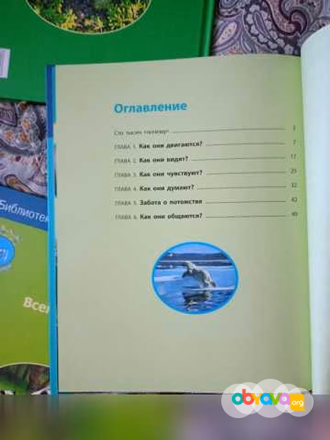 Продам: живая природа с Николаем Дроздовым, А Ма в Москве