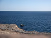 Предложение: отдых у моря деловые поездки командировк в Севастополе