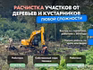 Расчистка территорий от деревьев и пней от 1 Га