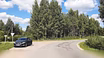 Участок 30 соток в березовой роще