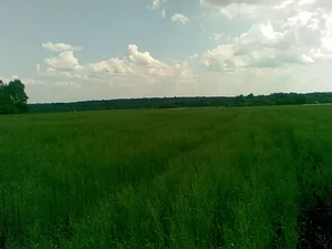 Земельный участок 2960 Га