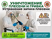 Уничтожение тараканов клопов клещей 