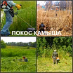 Покос травы Воронеж, косить траву в Воронеже