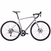 2025 Specialized Allez Disc Sport Road Bike (INDORACYCLES) 