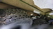 Продам: автошины YOKOHAMA 29.5-25 (28PR) NYLON в Новом Уренгое