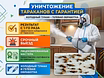 Уничтожение тараканов клопов клещей 