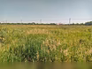 Земельный участок ИЖС