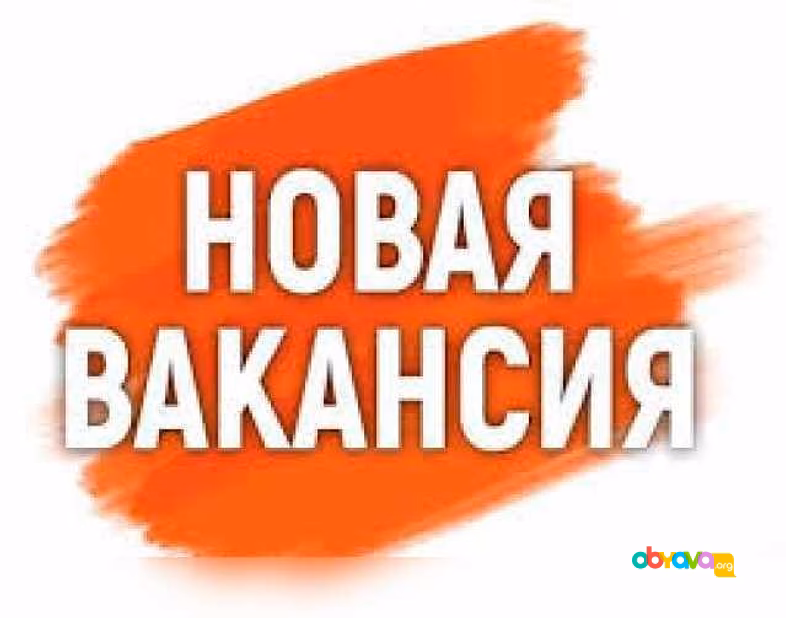 Упаковщик канцтоваров без опыта 