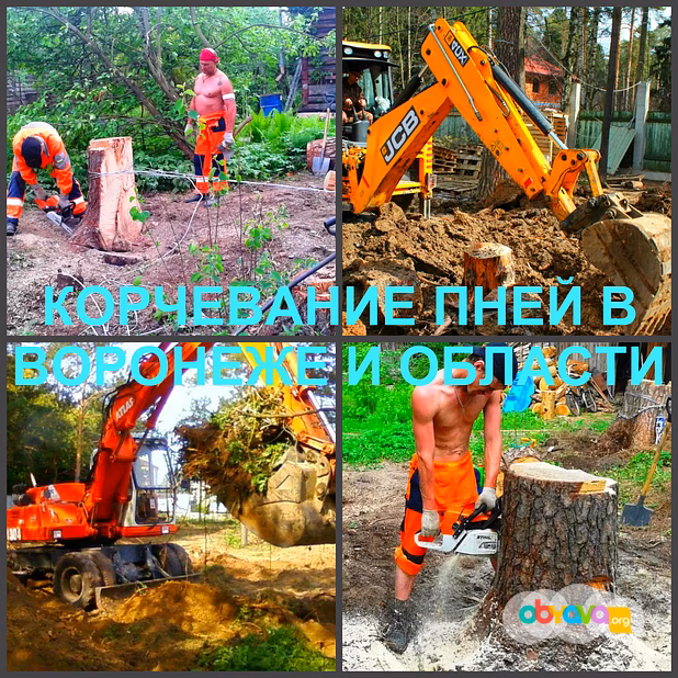 Корчевание Воронеж, корчевание пней в Воронеже