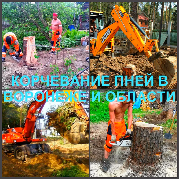 Корчевание Воронеж, корчевание пней в Воронеже