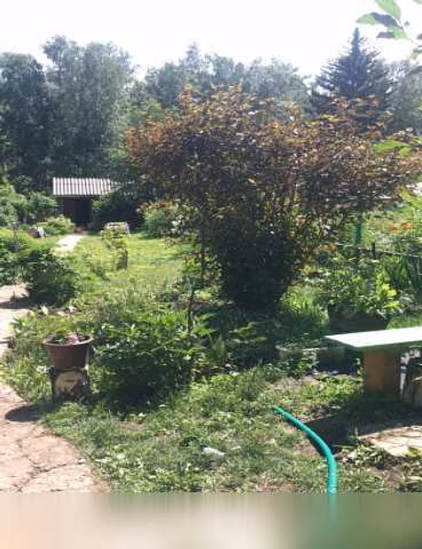Продам: дачу в Красноярске